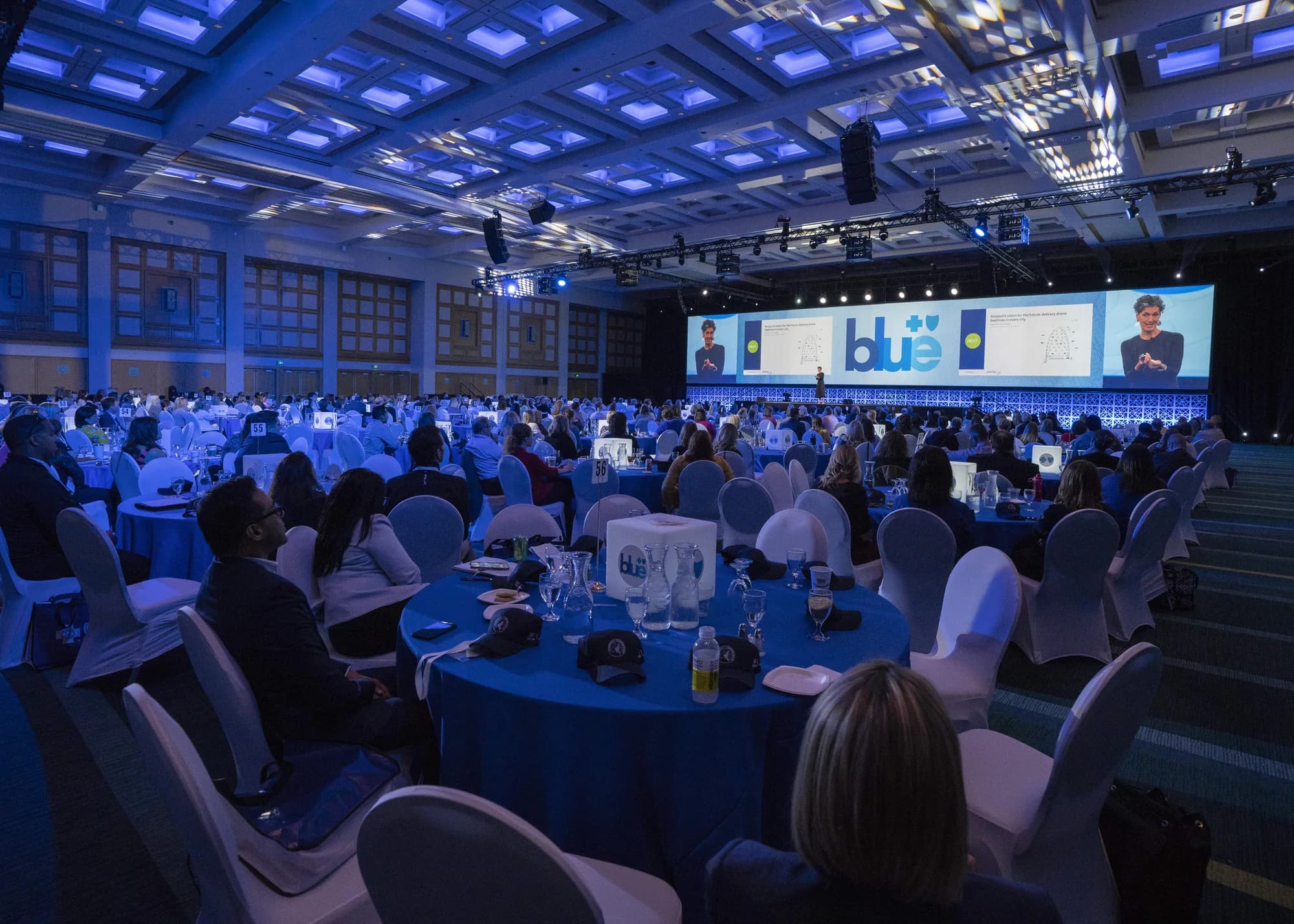 Nancy Giordano on stage at a Blue Cross Blue Shield conference